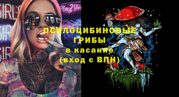 крисы Мегион