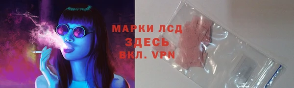 СК Медногорск