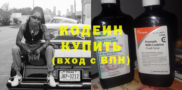 крисы Мегион
