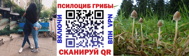 Купить  Любим  Галлюциногенные грибы мухоморы 