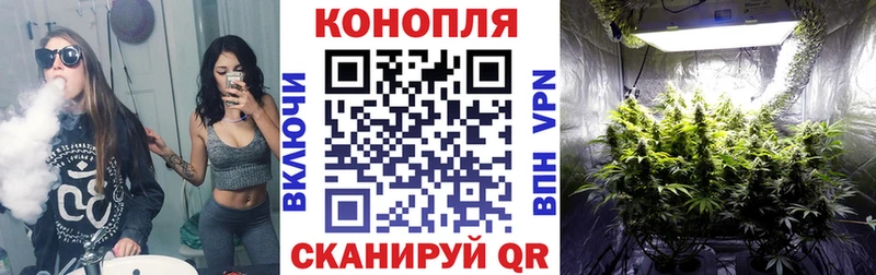 Купить закладки  Любим  Каннабис SATIVA & INDICA 